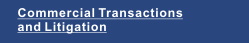 Commercial Transactions and Litigation